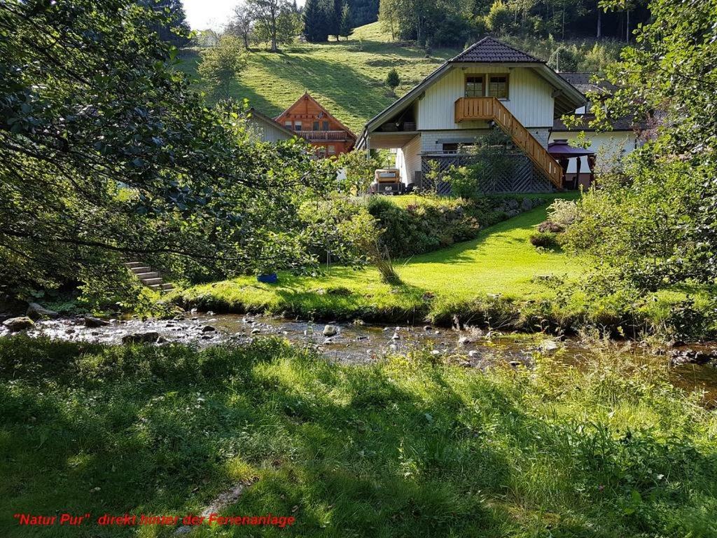 Ferienwohnung Schwarz ทอดท์โมส ภายนอก รูปภาพ