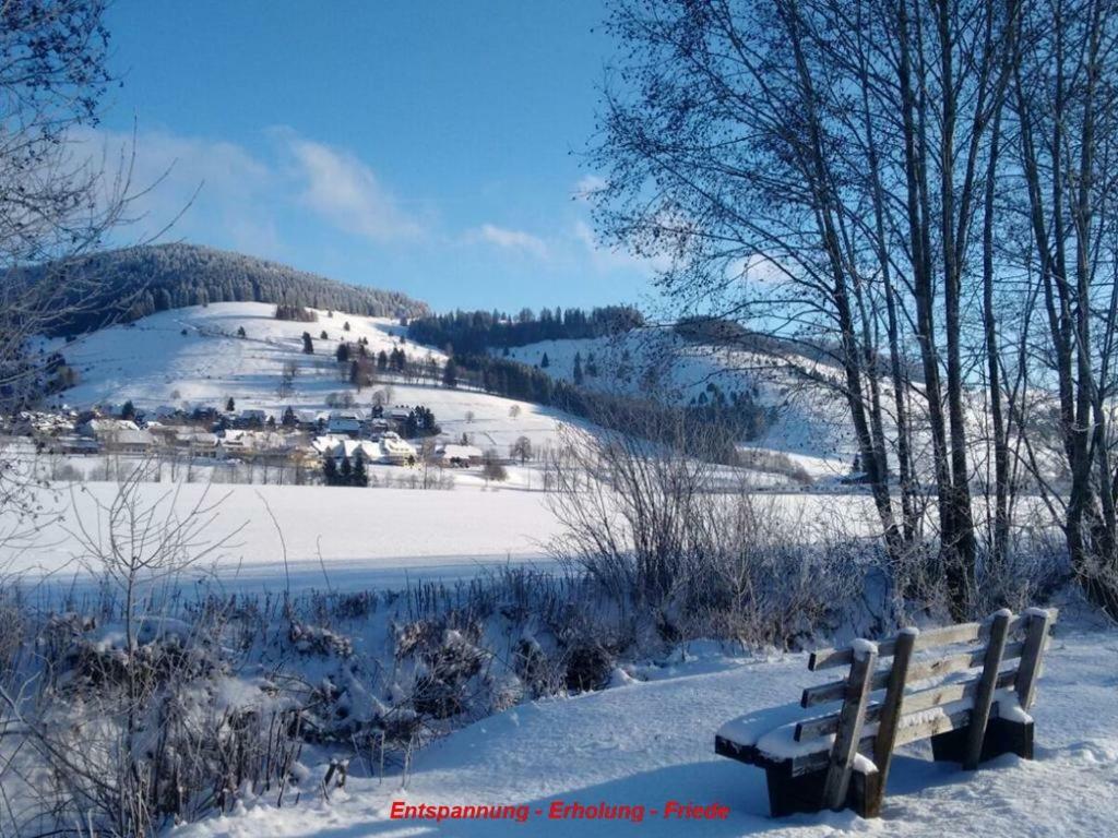 Ferienwohnung Schwarz ทอดท์โมส ภายนอก รูปภาพ