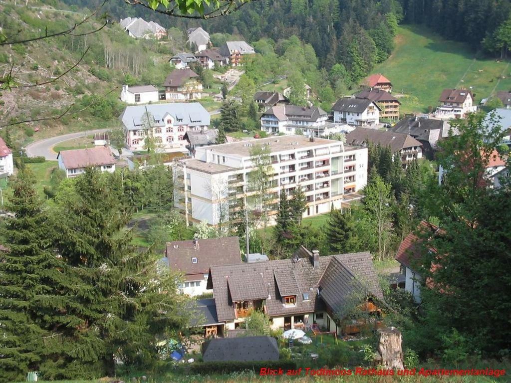 Ferienwohnung Schwarz ทอดท์โมส ภายนอก รูปภาพ