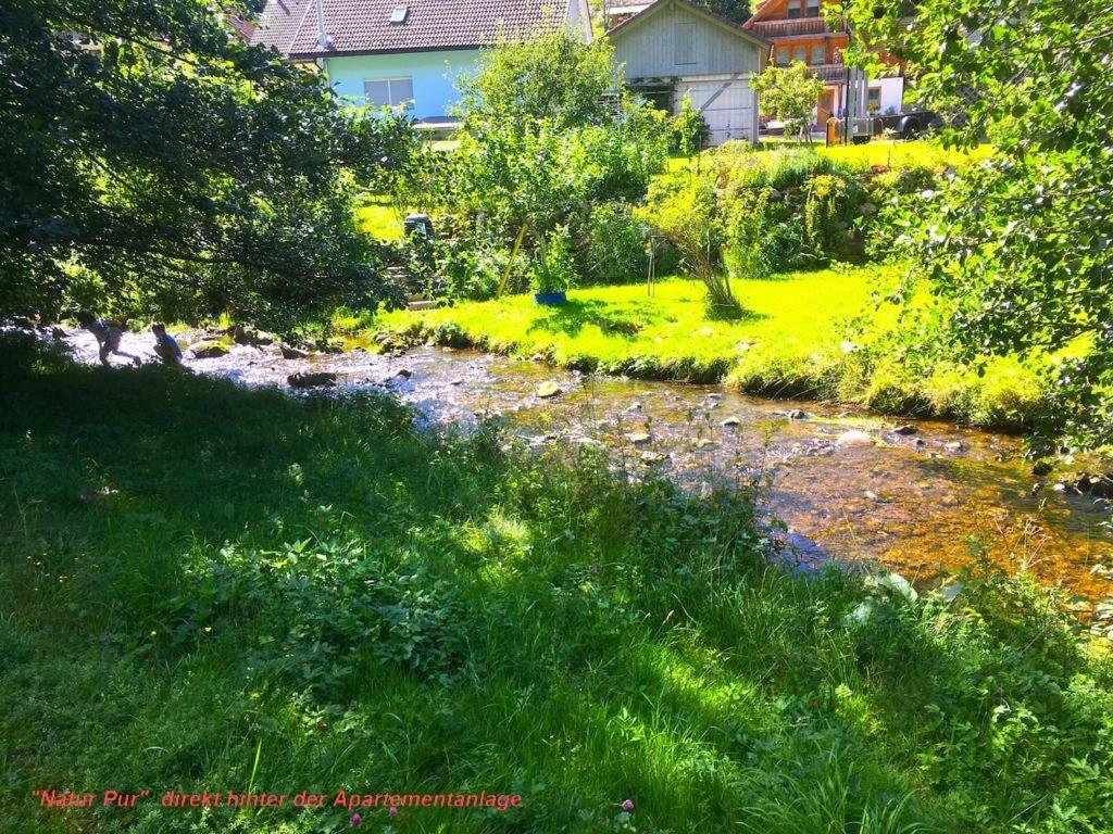 Ferienwohnung Schwarz ทอดท์โมส ภายนอก รูปภาพ