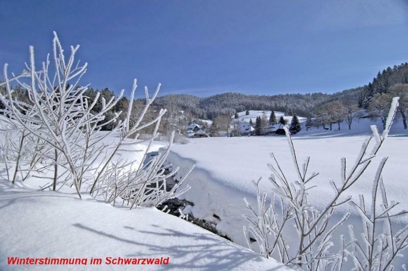 Ferienwohnung Schwarz ทอดท์โมส ภายนอก รูปภาพ